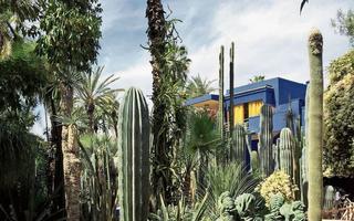 Une échappée à Marrakech, ici les jardins Majorelle, permet de repenser à tout ce qui agite le monde.