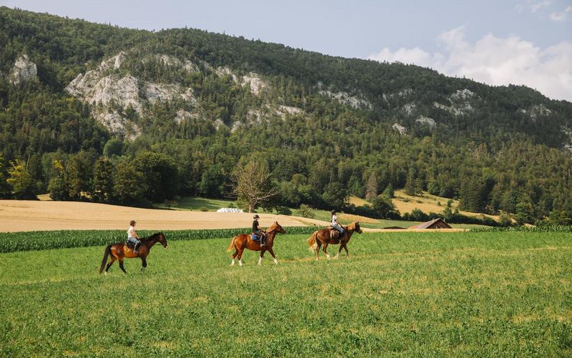 Balade équestre au Mont Raimeux, du côté de Crémines, dans le canton de Berne.