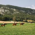 Balade équestre au Mont Raimeux, du côté de Crémines, dans le canton de Berne.