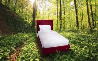 Bett mitten im Wald