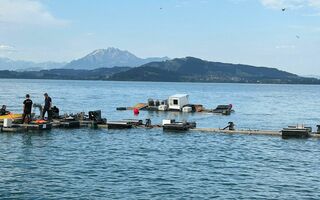 Bild Schaden Zug Magic 