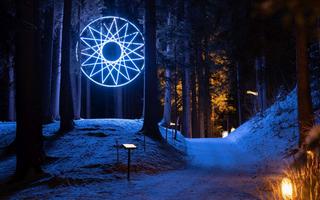 Impression vom Zauberwald