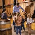 Kinder bei einer Weinführung 