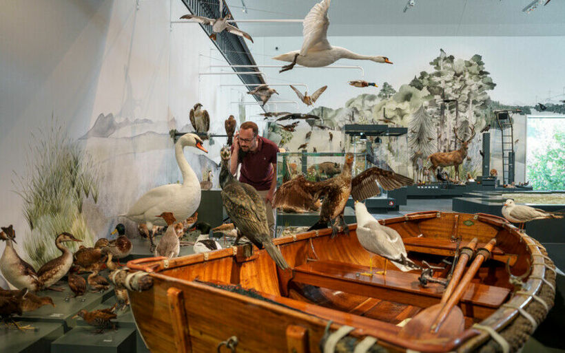 Naturmuseum St.Gallen 