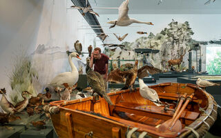 Naturmuseum St.Gallen 