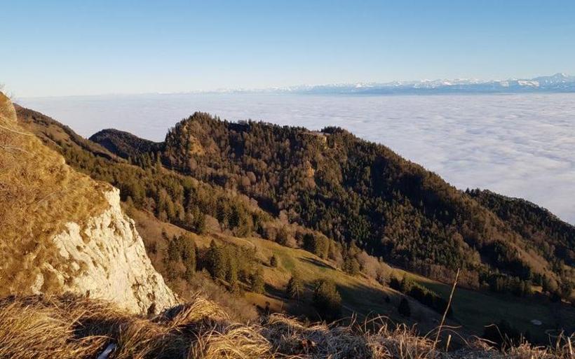 Der Bettlachstock ist Heimat von vielen uralten Buchen.