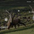 Webseite Pontresina Tourismus
