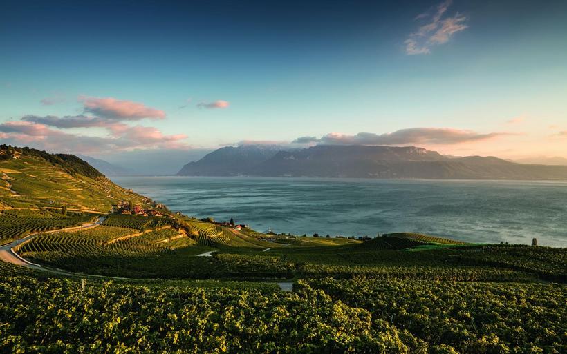 Les hôteliers romands savent mettre en avant leur patrimoine viticole, comme ici en Lavaux.