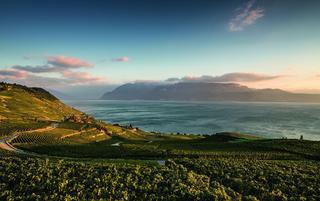 Les hôteliers romands savent mettre en avant leur patrimoine viticole, comme ici en Lavaux.