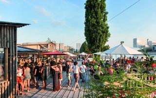 Baseler Rhein im Sommer