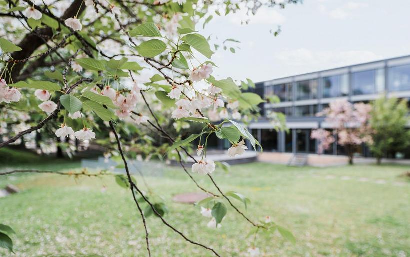 SGH Hauptsitz Zürich