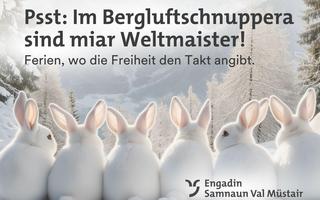 Winterkampagne Bergluft 