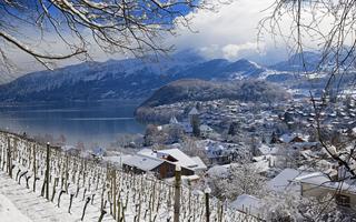 Vermehrt zieht es Gäste nach Spiez, wie zum Beispiel ins Schloss.