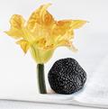 fleur de courgette et truffe
