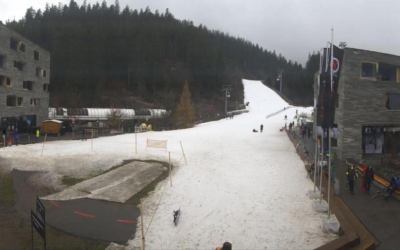 Talstation Laax Webcam