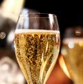 Champagner