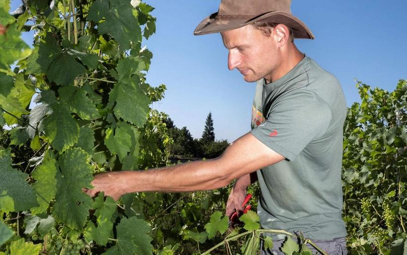 Alexandre Perrochet à Auvernier 