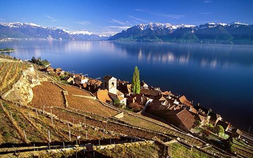 Das Weingebiet Lavaux